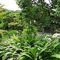 13052709極樂寺 (2) (小型).JPG