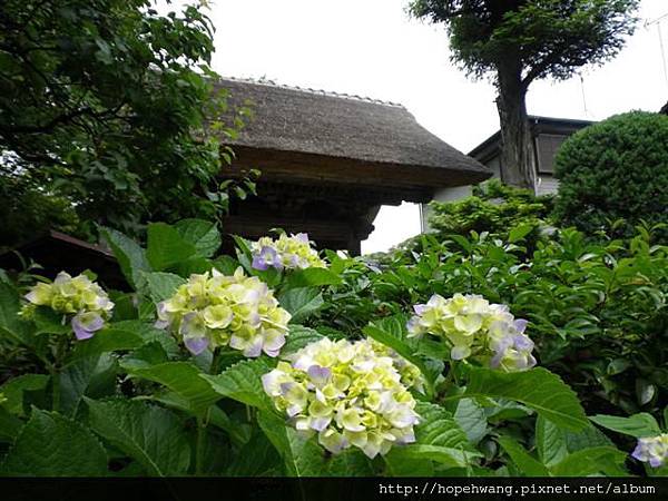 13052710極樂寺 (1) (小型).JPG