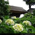 13052710極樂寺 (1) (小型).JPG