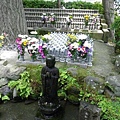 13052723長谷寺 (6) (小型).JPG