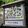 13052725長谷寺 (4) (小型).JPG