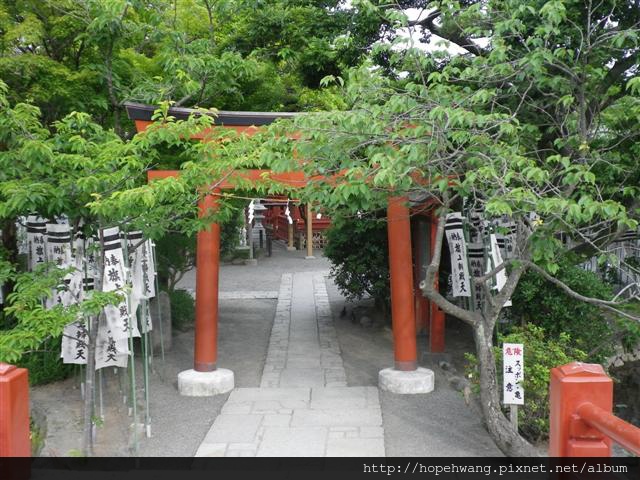 13052758鶴岡八幡宮 (5) (小型).JPG