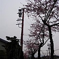 080424-4五稜郭pay (8) (小型).jpg