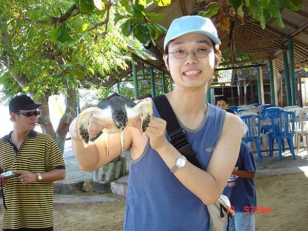 可愛小海龜，她一直拍打建維的手(海龜OS:我只要給美女抱，你這男人別摸我><)