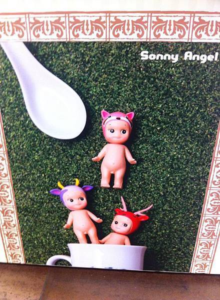 sonny angle (1)