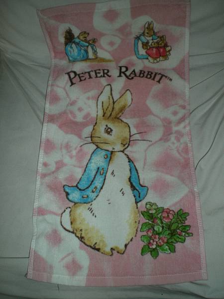 peter rabbit (2).JPG
