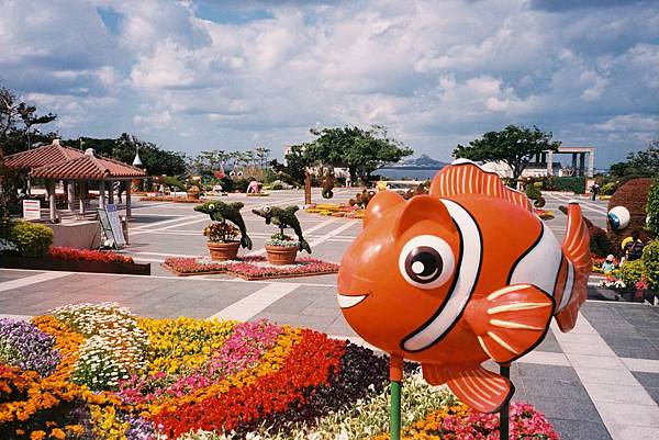 海洋博公園植栽1