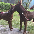 IMAG0059.jpg