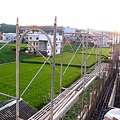 0605二樓頂鋼筋水電09.JPG