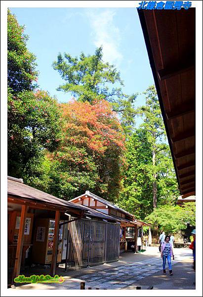 北鎌倉圓覺寺20