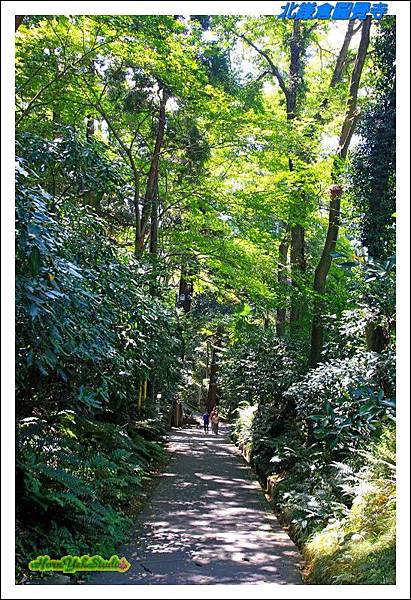 北鎌倉圓覺寺17