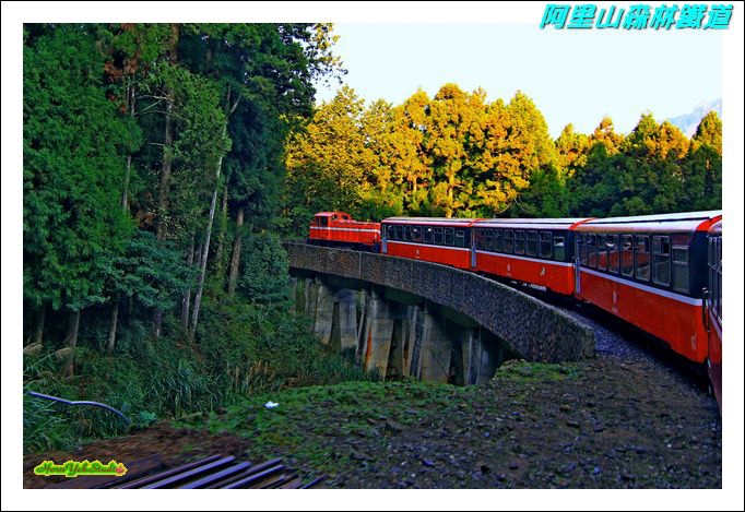 阿里山森林鐵道02.JPG
