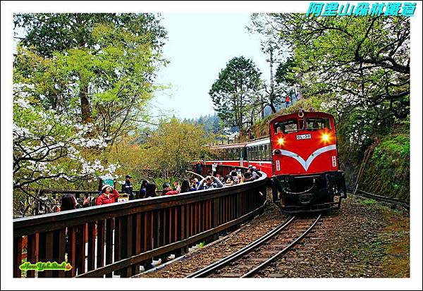 阿里山森林鐵道05.JPG