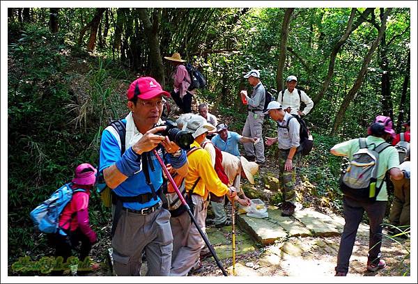 0614外雙溪越嶺金面山05.jpg