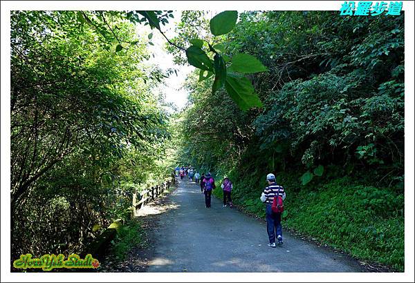 松羅步道04.jpg