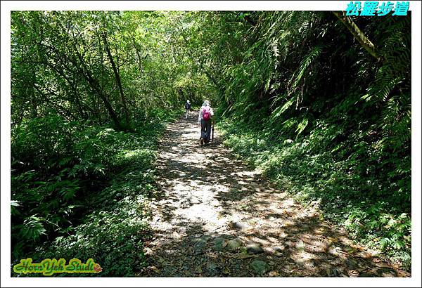 松羅步道09.jpg 松羅步道09.jpg