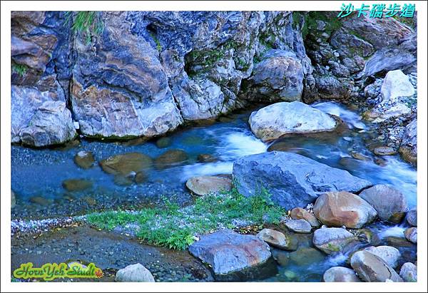 沙卡礑步道06.jpg