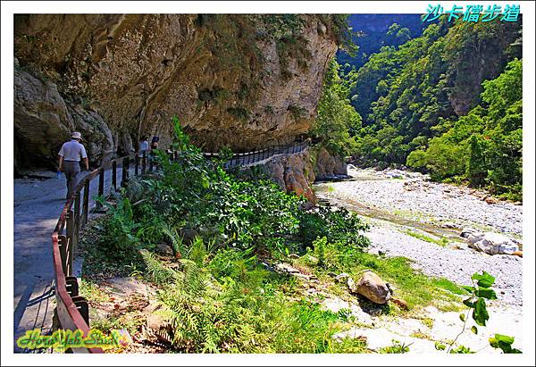 沙卡礑步道08.jpg