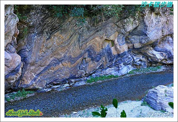 沙卡礑步道11.jpg 沙卡礑步道11.jpg