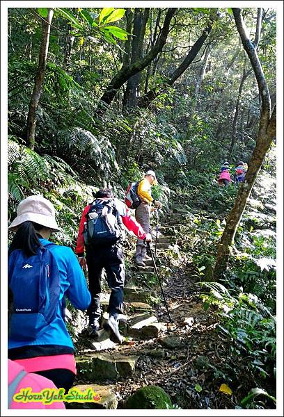 20151213猴山岳09.jpg