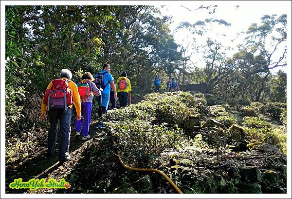 20151213猴山岳04.jpg