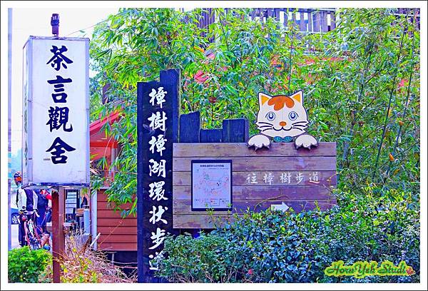 樟湖彩雲魯冰花01.jpg 樟湖彩雲魯冰花01.jpg
