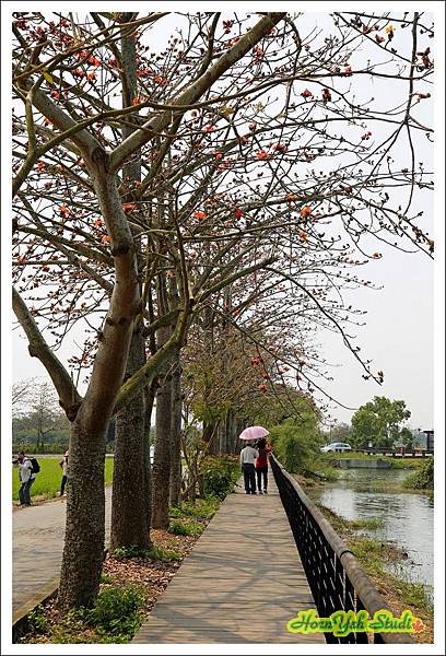 台南白河林出埤木棉道03.jpg