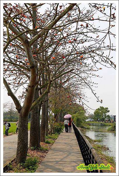 台南白河林出埤木棉道03.jpg