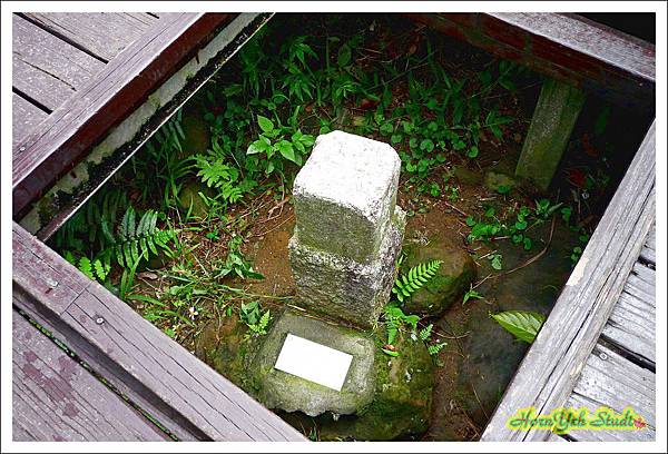 20160612天上山走善息寺14.jpg 20160612天上山走善息寺14.jpg