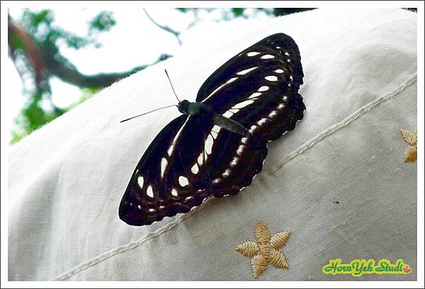 20160612天上山走善息寺18.jpg 20160612天上山走善息寺18.jpg