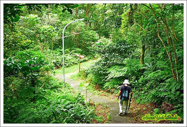 20160612天上山走善息寺19.jpg 20160612天上山走善息寺19.jpg