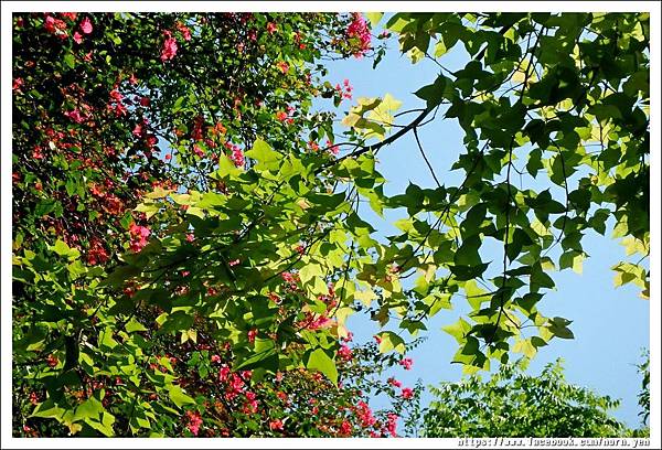 170430銀河洞待荖坑山01.jpg 170430銀河洞待荖坑山01.jpg