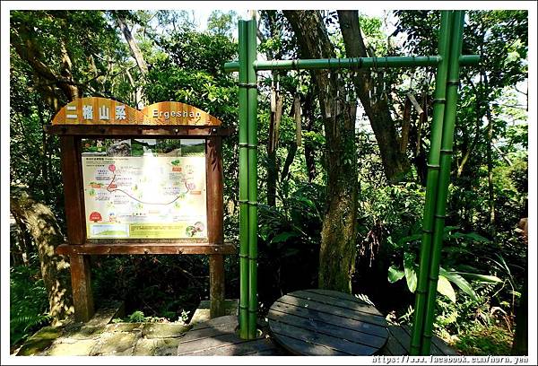 170430銀河洞待荖坑山12.jpg 170430銀河洞待荖坑山12.jpg