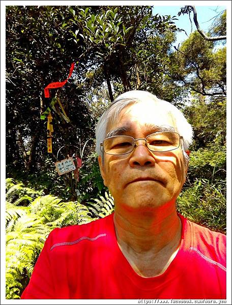 170430銀河洞待荖坑山17.jpg 170430銀河洞待荖坑山17.jpg