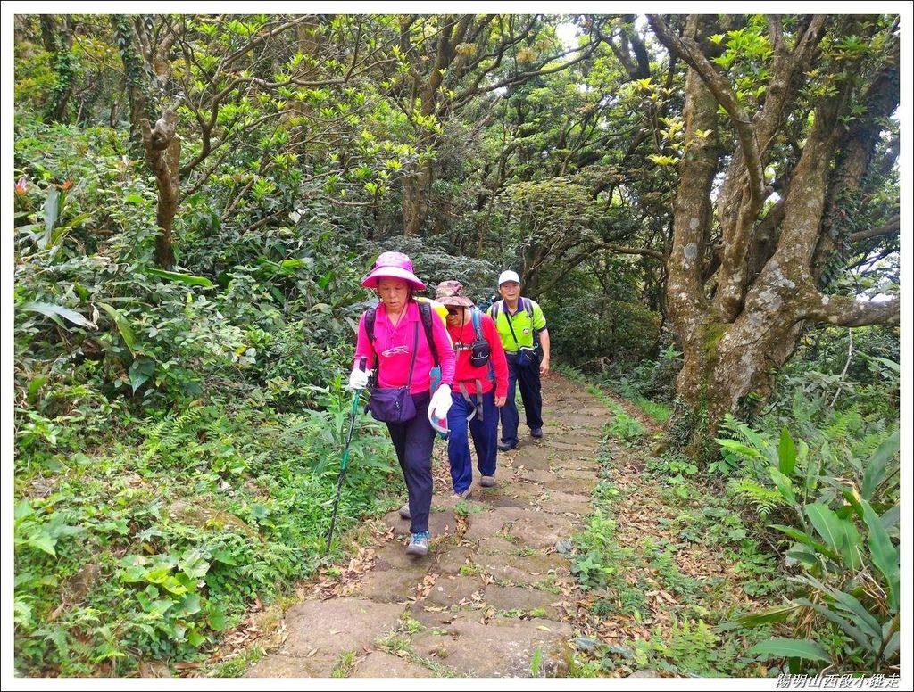 2018陽明山西段小縱走07.jpg 2018陽明山西段小縱走07.jpg