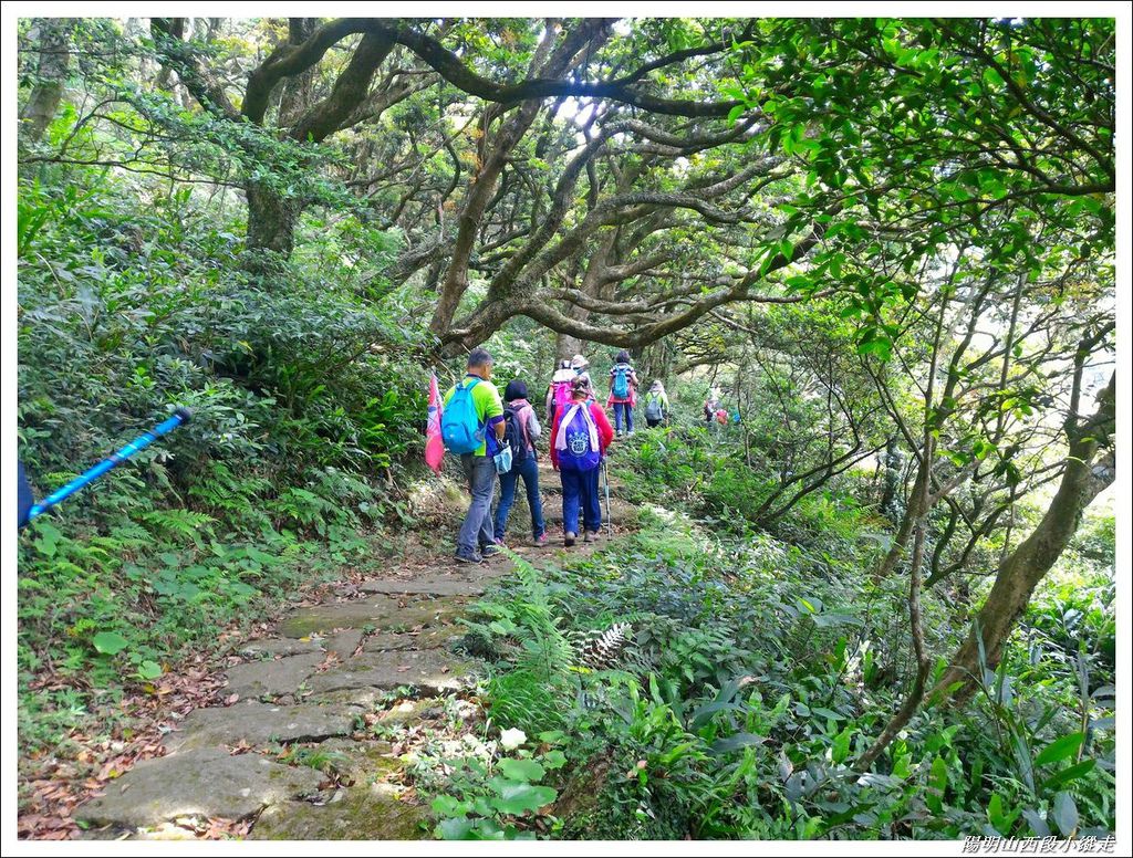 2018陽明山西段小縱走11.jpg 2018陽明山西段小縱走11.jpg