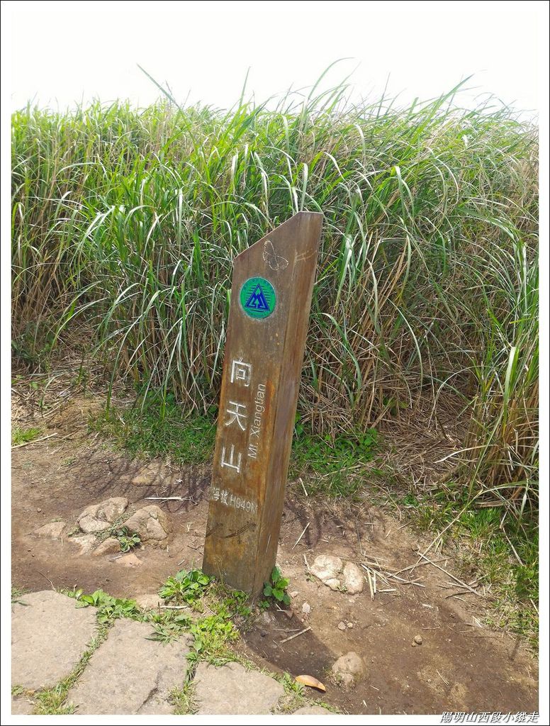 2018陽明山西段小縱走16.jpg 2018陽明山西段小縱走16.jpg