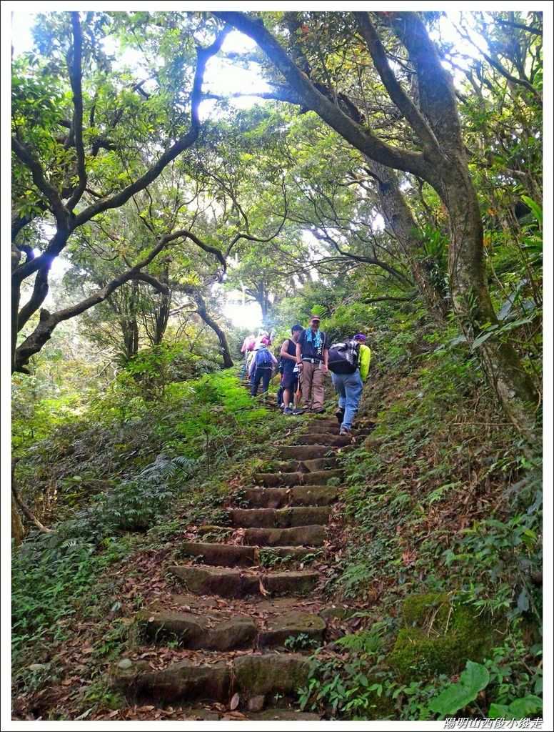 2018陽明山西段小縱走15.jpg 2018陽明山西段小縱走15.jpg