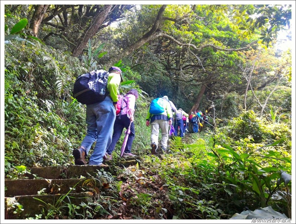 2018陽明山西段小縱走14.jpg 2018陽明山西段小縱走14.jpg