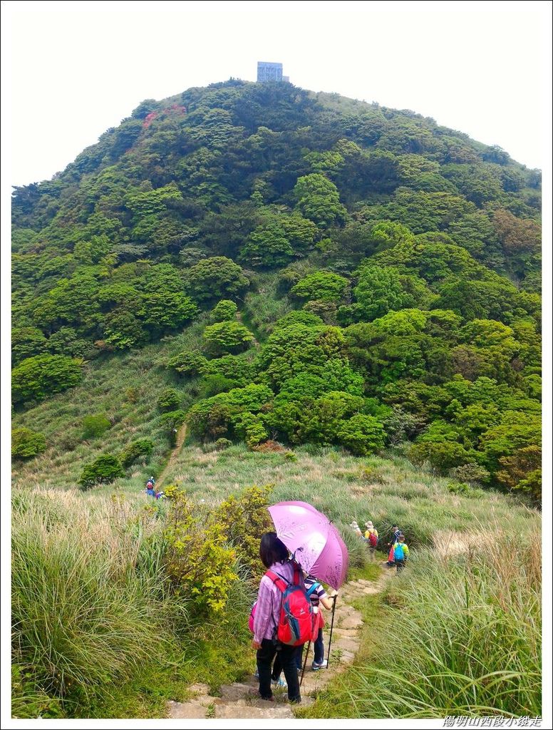 2018陽明山西段小縱走18.jpg 2018陽明山西段小縱走18.jpg