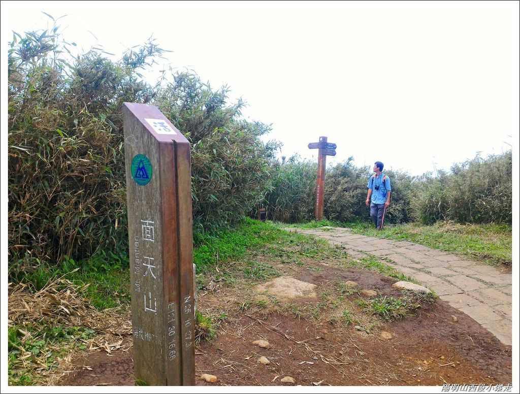 2018陽明山西段小縱走20.jpg 2018陽明山西段小縱走20.jpg