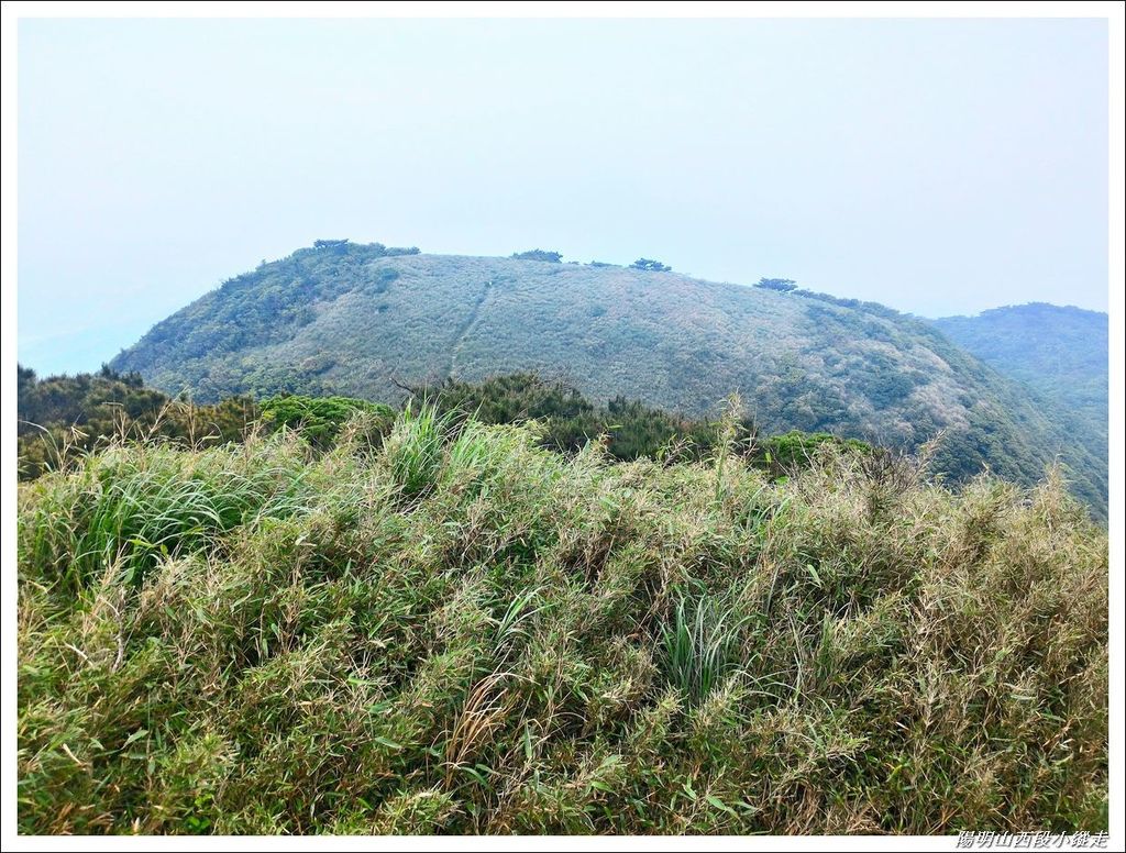 2018陽明山西段小縱走21.jpg 2018陽明山西段小縱走21.jpg