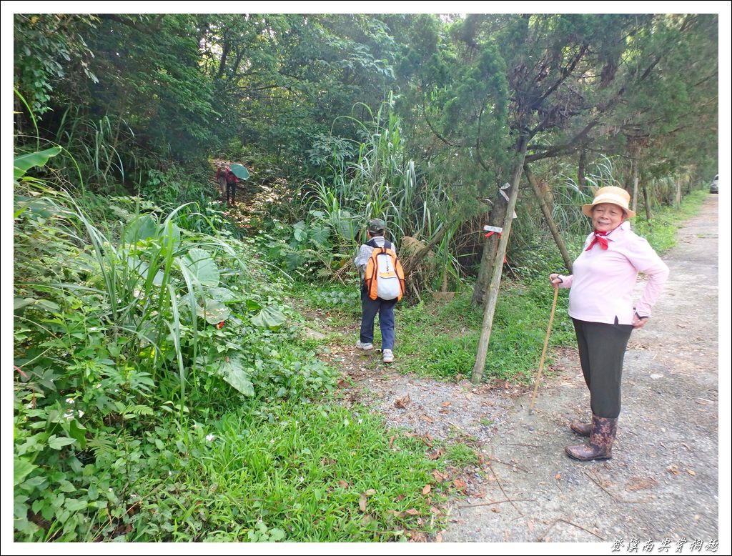 登溪南尖賞桐趣06.jpg 登溪南尖賞桐趣06.jpg