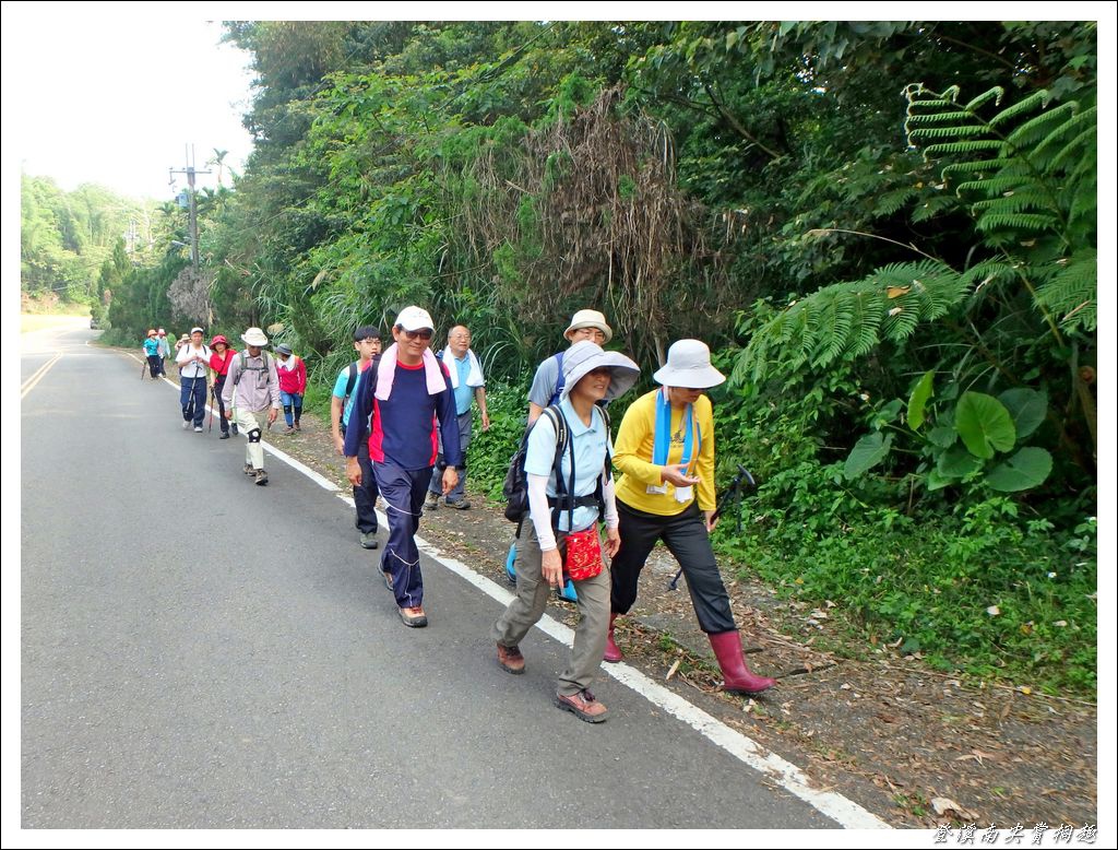 登溪南尖賞桐趣05.jpg 登溪南尖賞桐趣05.jpg