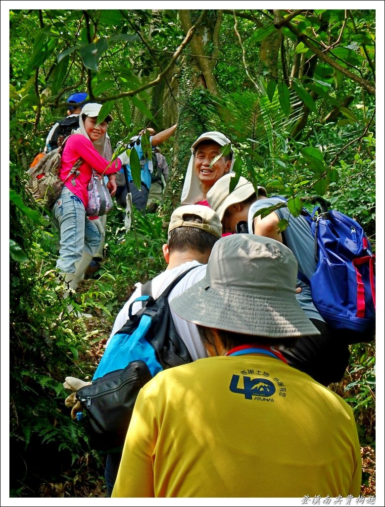 登溪南尖賞桐趣13.jpg 登溪南尖賞桐趣13.jpg