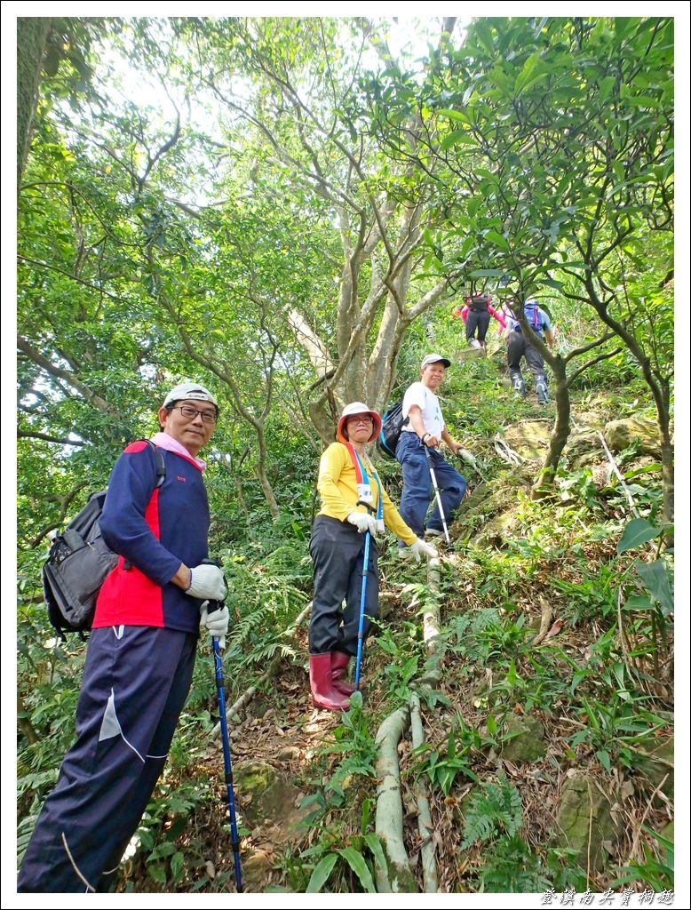 登溪南尖賞桐趣14.jpg 登溪南尖賞桐趣14.jpg