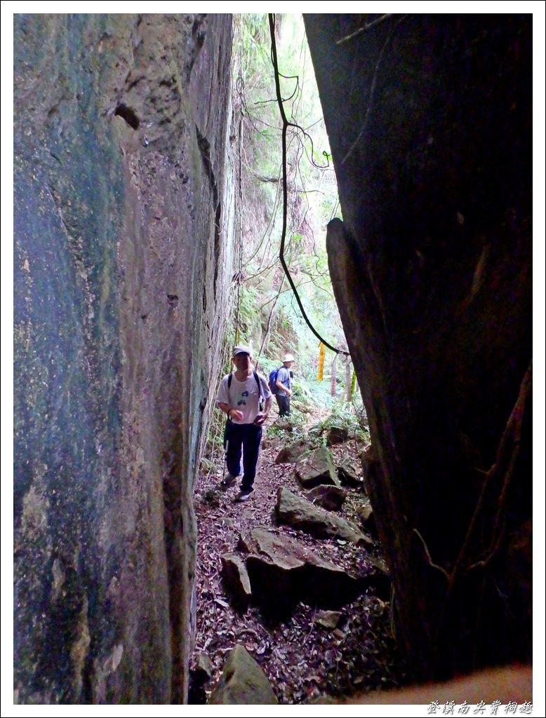 登溪南尖賞桐趣20.jpg 登溪南尖賞桐趣20.jpg