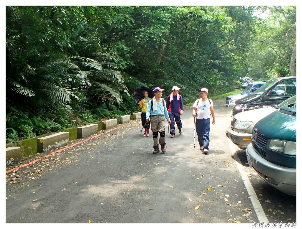 登溪南尖賞桐趣24.jpg 登溪南尖賞桐趣24.jpg