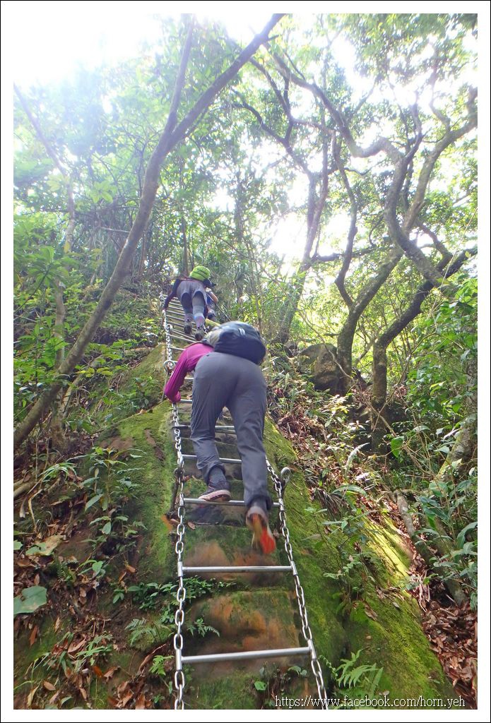 皇帝殿東西峰15.jpg 皇帝殿東西峰15.jpg