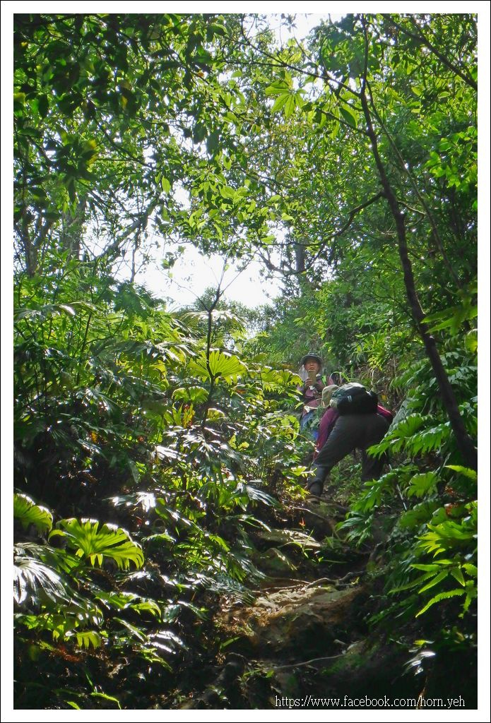 皇帝殿東西峰18.jpg 皇帝殿東西峰18.jpg